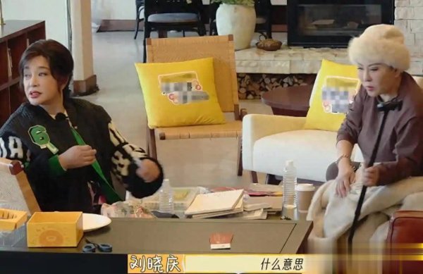 莆田安福相册 刘晓庆《一说念似锦》破防打工东说念主 中年女性体面难敌生活本质