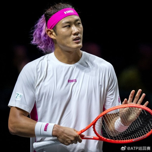 莆田安福家园 驯顺胡尔卡奇，张之臻挺进ATP马赛站男单八强