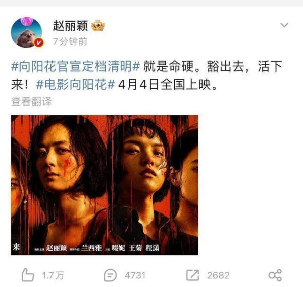 安福相册 赵丽颖最强男闺蜜陪她从籍籍无名到顶流，赵氏孤儿不零丁