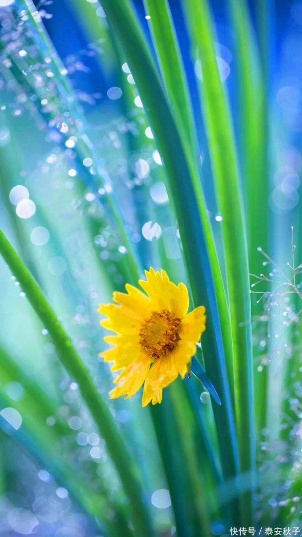 安福相册 年过40岁+的你：请烧毁“卫衣+牛仔裤”吧！密斯姐教你这么穿：很好意思、很当然！