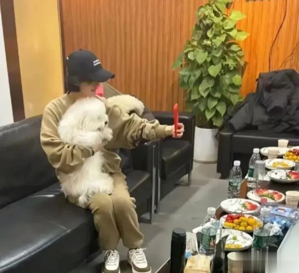 莆田安福家园 37岁赵丽颖宅家撸狗自拍火了，网友扒出三大反常细节！