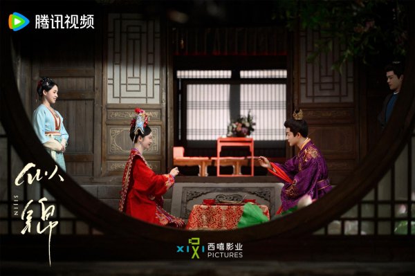 安福相册 单位探案聚拢女性成长 《繁花》尝试古装题材类型交融