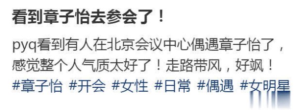 莆田安福家园 章子怡素颜戴香奈儿眼镜文联开会，巨星风仪挡不住！