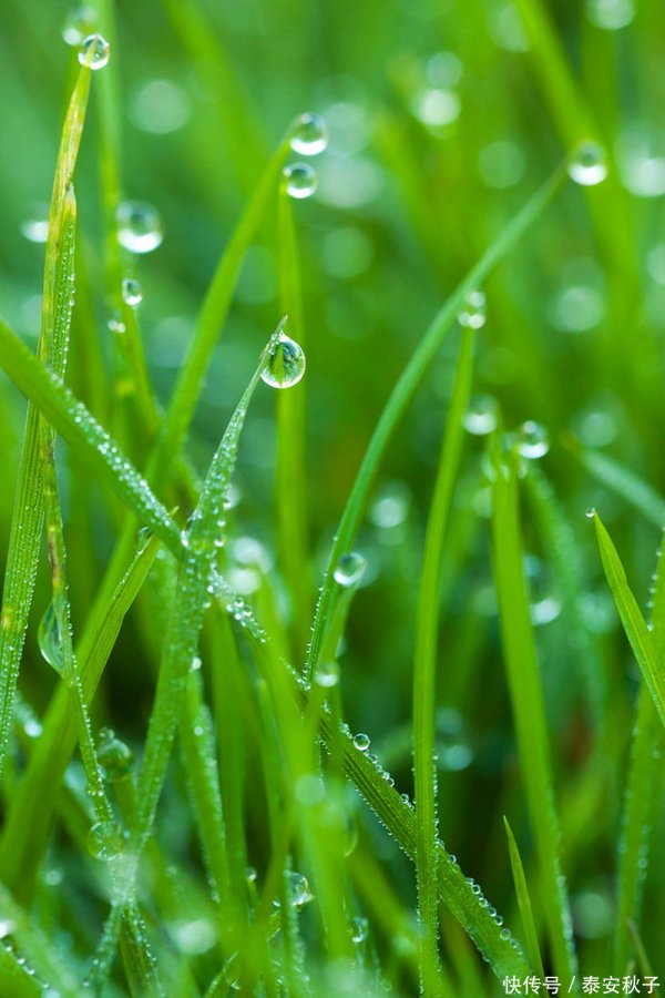 安福相册 回春之后才发现：早就不兴“大衣+牛仔裤”了！满大街王人在这么穿，又好意思、又当然！