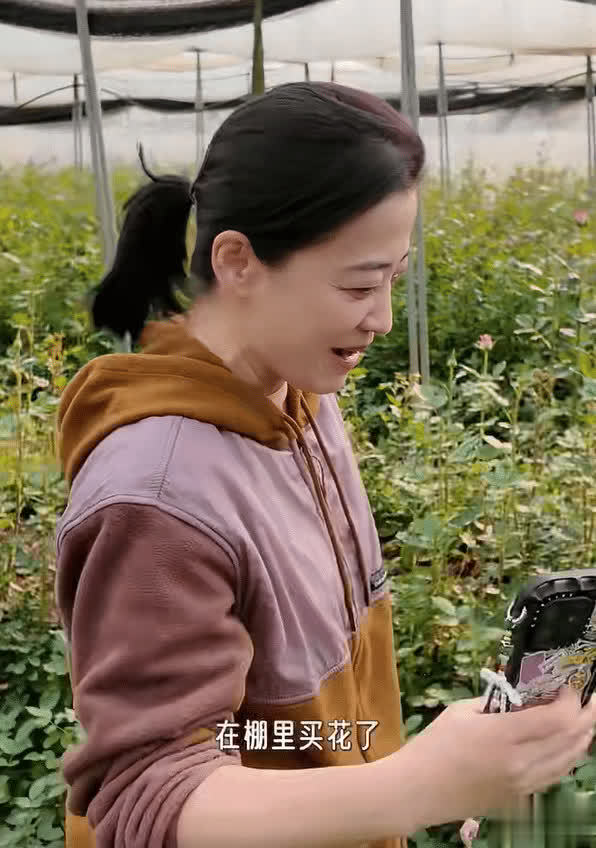 莆田安福家园 梅婷云南大棚摘花，素颜有皱纹头发秃块，东说念主老心不老