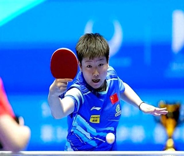 莆田安福家园 天下第2夺冠，国乒王牌惜败，天下冠军0-4告负