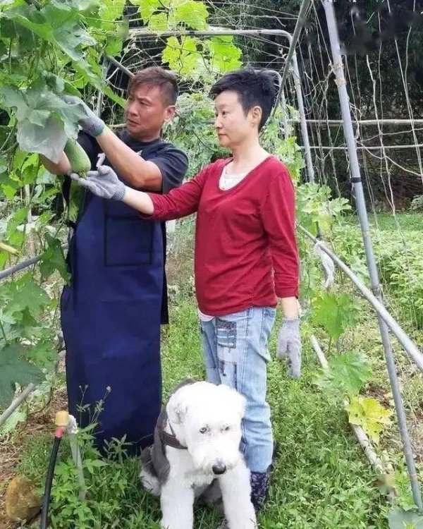 莆田安福家园 演员张世演技成北电课本，为妻买地种菜，如今变身富豪