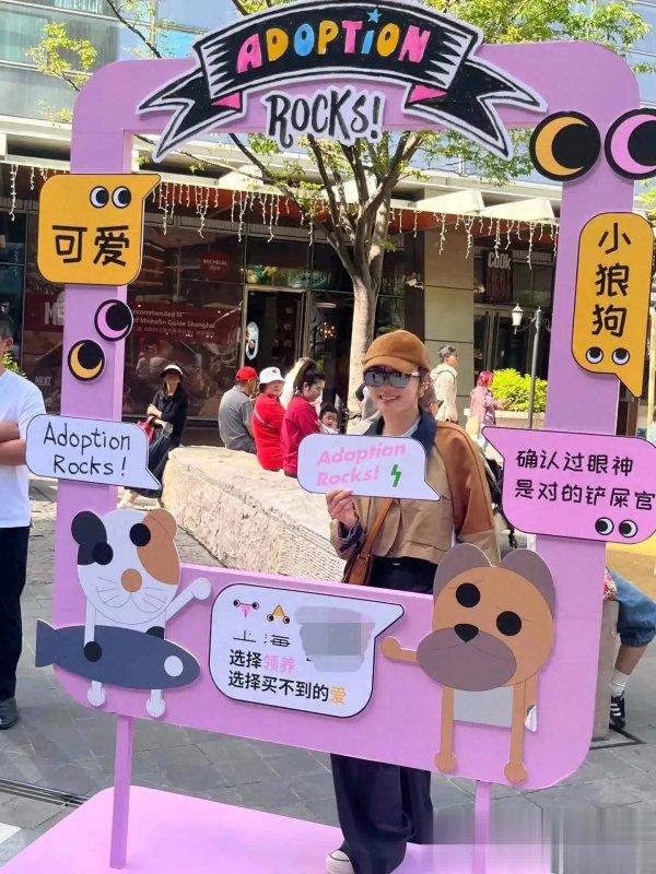 莆田安福相册 小花戴墨镜义卖流浪动物，放歌为孙俪宣传新剧，爱心孝心双收