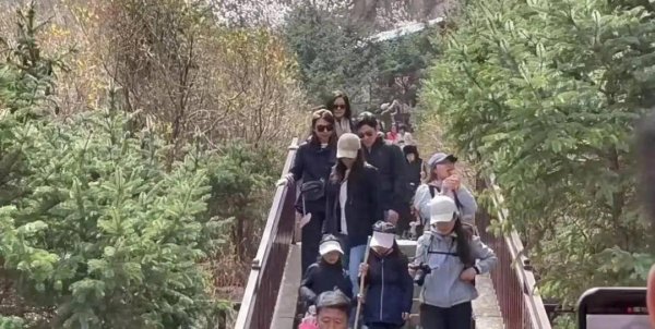 莆田安福相册 郭晶晶一家游山西，79岁霍震霆拄拐，精巧保安瘦高板正