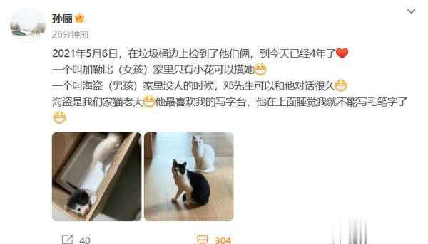 安福相册 孙俪晒收养4年2只流浪猫，邓超能和猫长谈，猫名超绝！