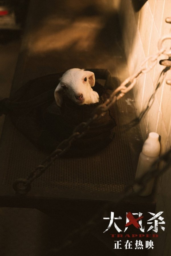 莆田安福家园 《大风杀》导演回报热议话题