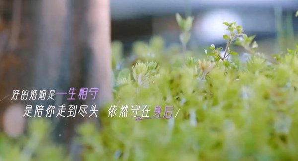 安福相册 妻旅2025大结局分开旅行，4组对比突显朱兆祥“天花板”地位