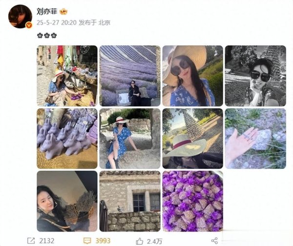 安福相册 刘亦菲全素颜出游照曝光，零缺点脸蛋好意思翻！