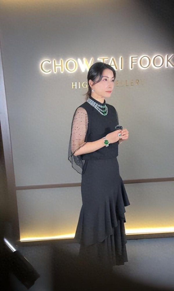 莆田安福相册 郭晶晶穿53元布鞋逛沪上饰品店，霍启刚爱马仕能买她146双