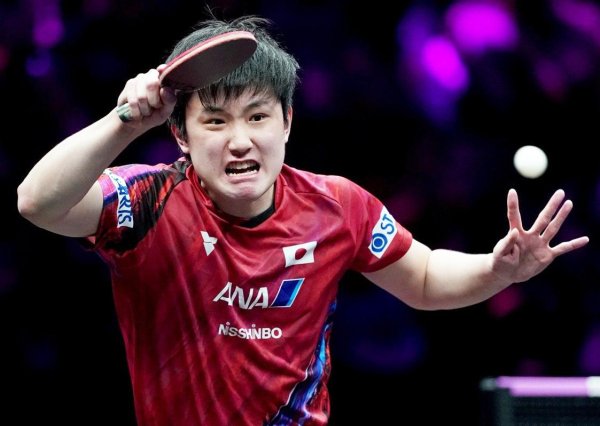 莆田安福相册 张本智和爆冷出局！血战不敌身高1米97名将，留步印度赛男单16强