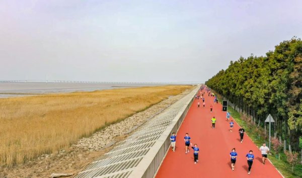 安福相册 5000跑者相约打造长江生态主题赛事标杆，多元逝世场景为周末崇明添把火