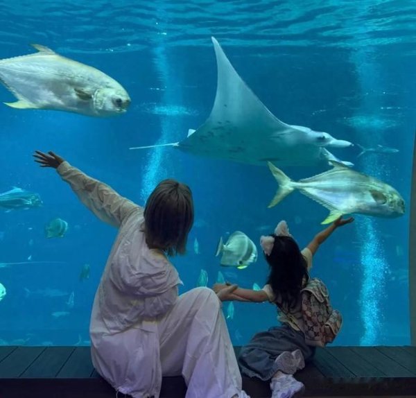 安福相册 张馨月一家新加坡度假，犬子扮小好意思东说念主鱼，46岁林峯沧桑似老翁