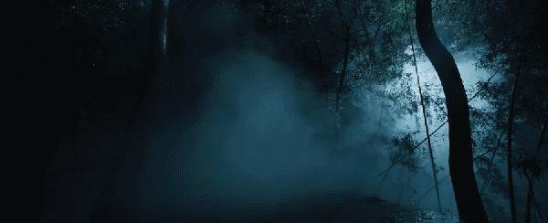 安福相册 仅半小时，热度破4000，8月最期待的黑马古装探案剧开播就炸了