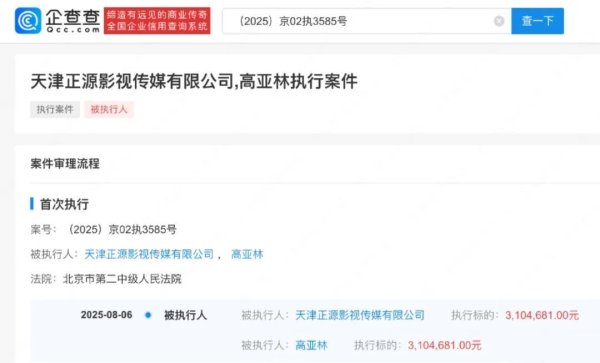 莆田安福家园 《家有儿女》演员高亚麟及干系公司，被强制推论310万余元