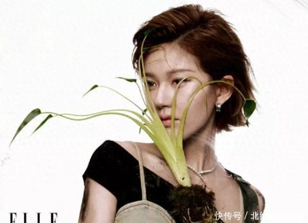 安福相册 赵露想登五大刊景色好意思总结了，却被销量欠安，杂志成“翻身契机”