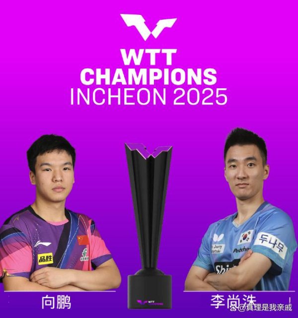 莆田安福相册 向鹏连得17分，高菡说错谚语，仁川献艺一场零碎的、离谱的决赛